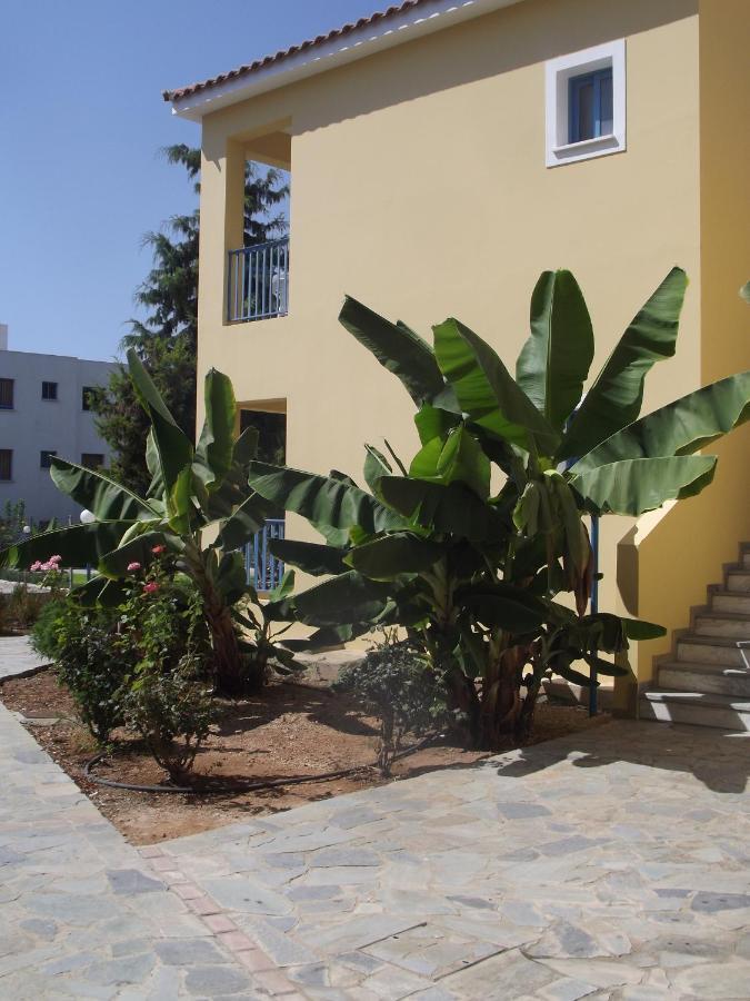 科法罗尼缇公寓酒店 Paphos 外观 照片