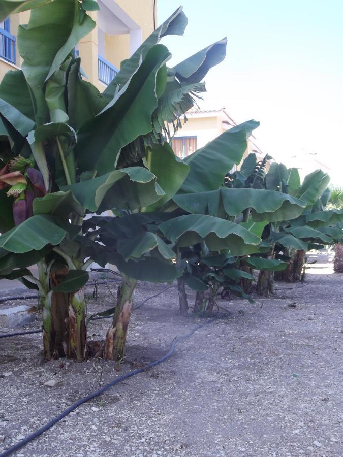 科法罗尼缇公寓酒店 Paphos 外观 照片